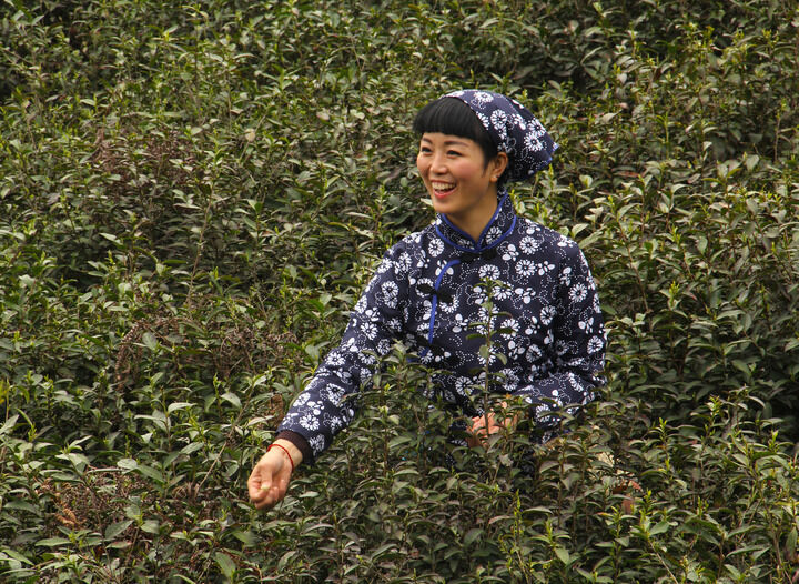 牡丹tv入口 热门推荐